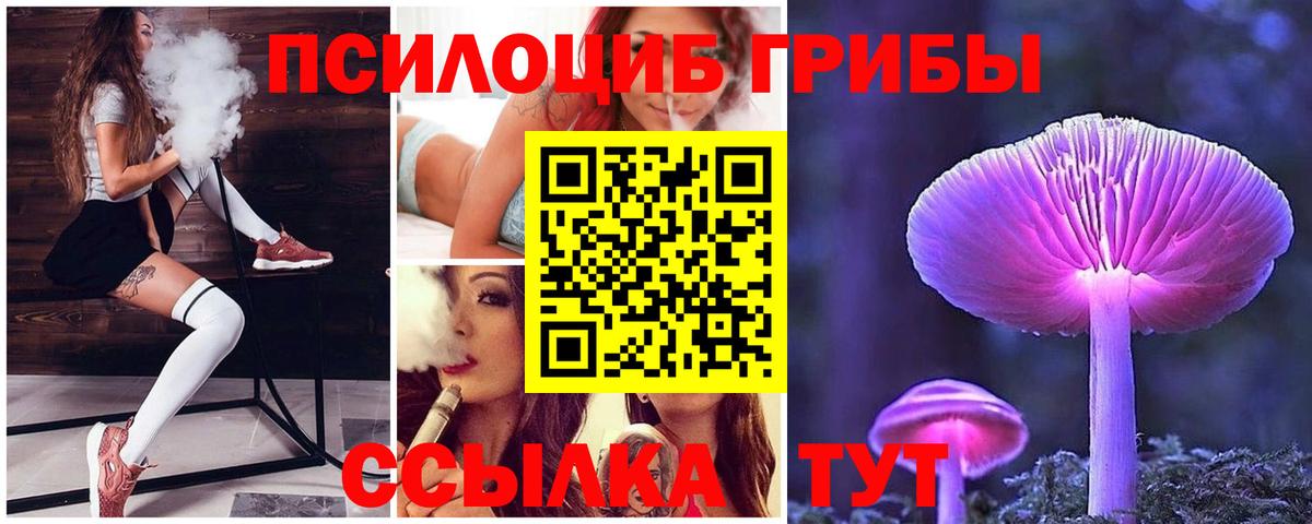 Россия  Псилоцибиновые грибы GOLDEN TEACHER  Вход с VPN 